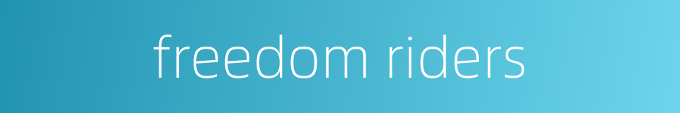 freedom riders的同义词