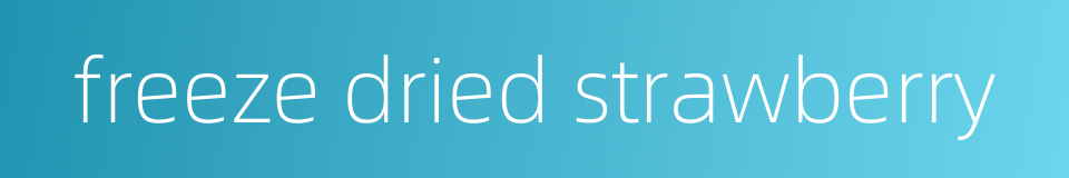 freeze dried strawberry的同义词