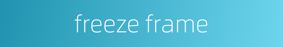 freeze frame的同义词