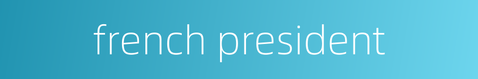 french president的同义词