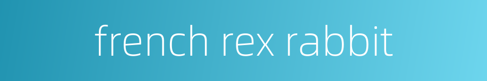 french rex rabbit的同义词