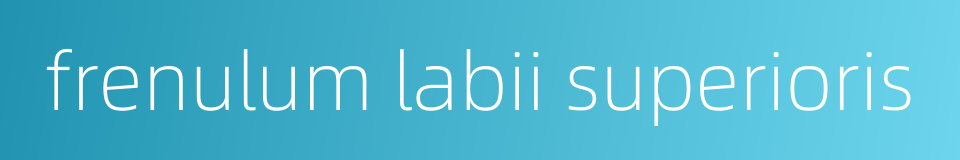 frenulum labii superioris的同义词