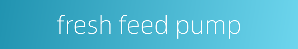 fresh feed pump的同义词