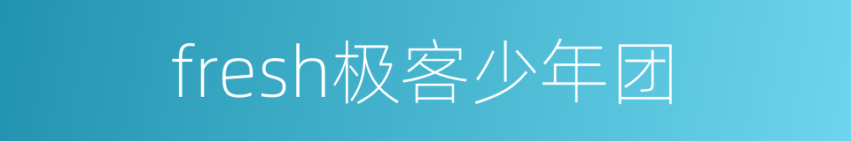 fresh极客少年团的同义词