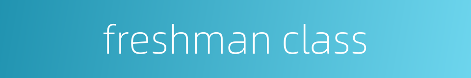 freshman class的同义词