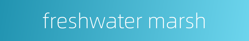 freshwater marsh的同义词