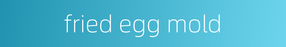 fried egg mold的同义词