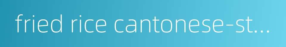 fried rice cantonese-style的同义词