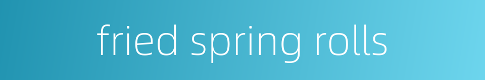 fried spring rolls的同义词