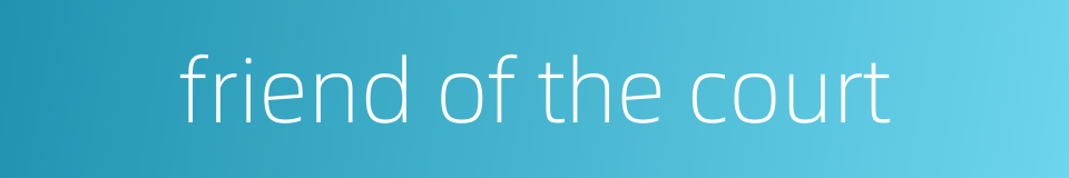 friend of the court的同义词