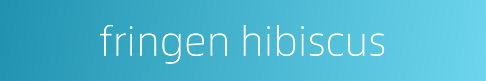 fringen hibiscus的同义词