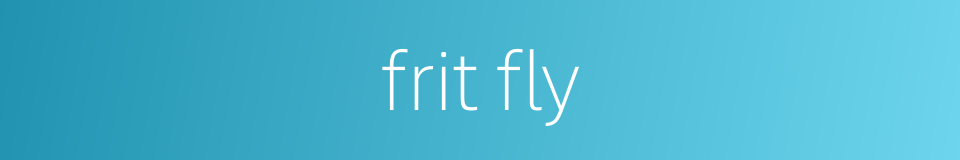 frit fly的同义词