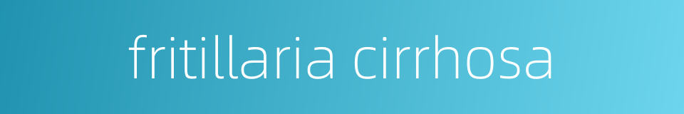 fritillaria cirrhosa的同义词