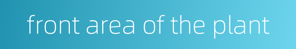 front area of the plant的同义词