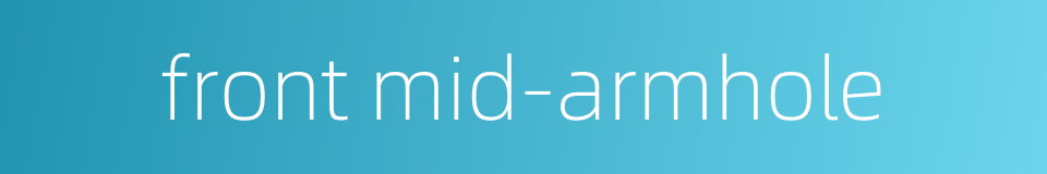 front mid-armhole的同义词