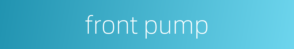 front pump的同义词