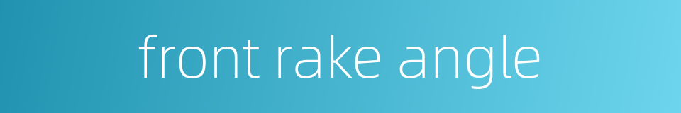 front rake angle的同义词