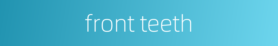 front teeth的同义词