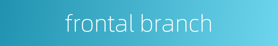 frontal branch的同义词