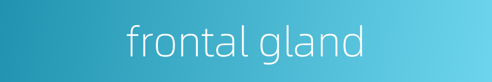 frontal gland的同义词