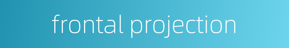 frontal projection的同义词