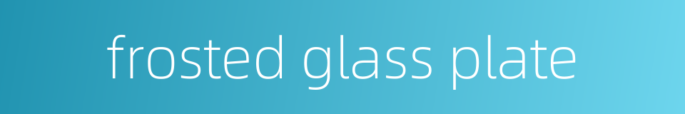 frosted glass plate的同义词