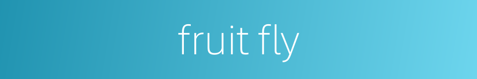 fruit fly的同义词