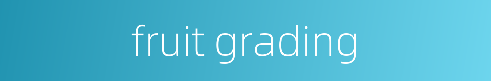 fruit grading的同义词