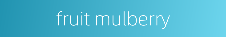 fruit mulberry的同义词