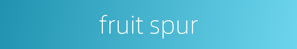 fruit spur的同义词