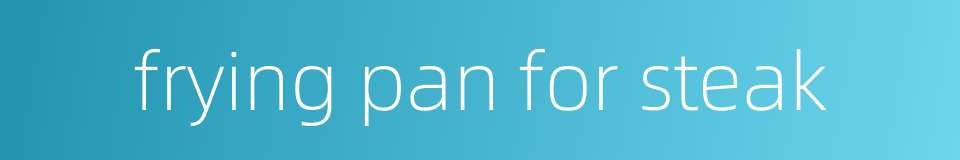 frying pan for steak的同义词