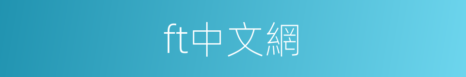 ft中文網的同義詞