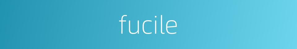 fucile的同义词