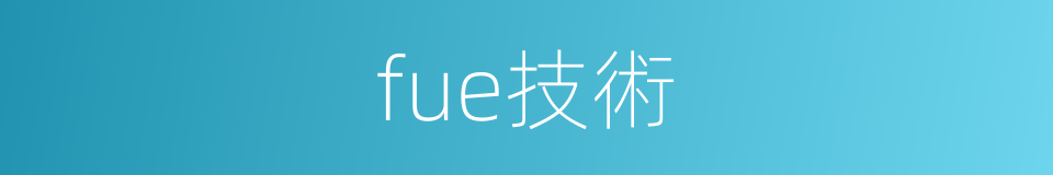 fue技術的同義詞