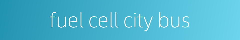 fuel cell city bus的同义词