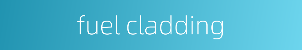 fuel cladding的同义词