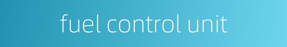 fuel control unit的同义词