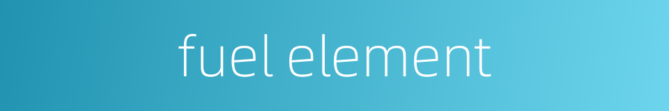 fuel element的同义词