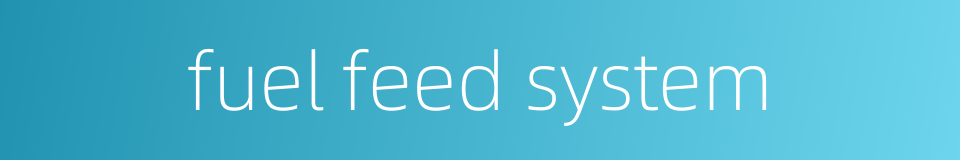 fuel feed system的同义词