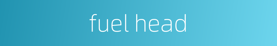 fuel head的同义词