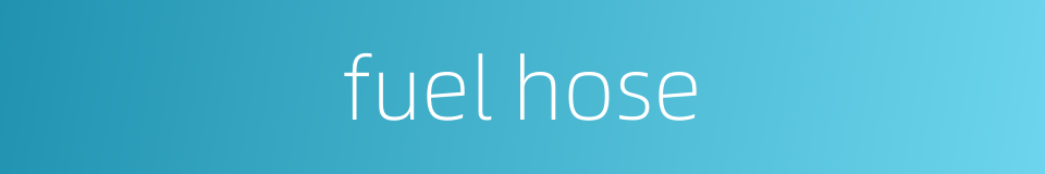 fuel hose的同义词