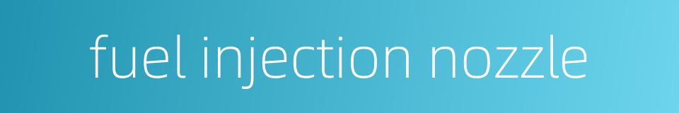 fuel injection nozzle的同义词