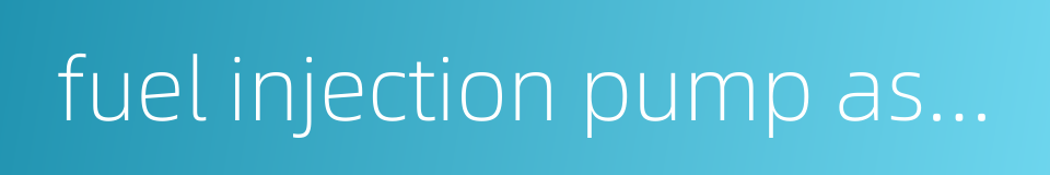 fuel injection pump assembly的同义词