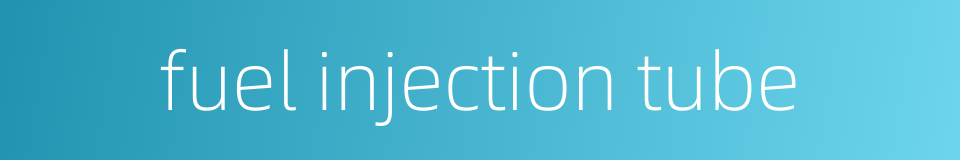 fuel injection tube的同义词