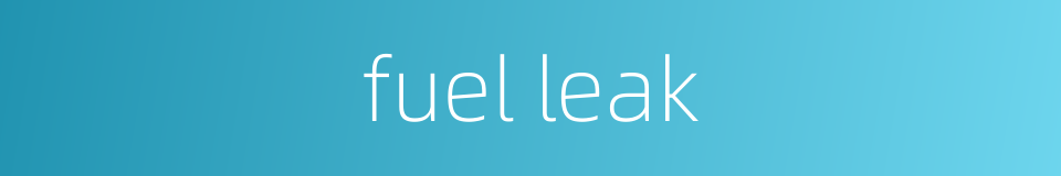 fuel leak的同义词