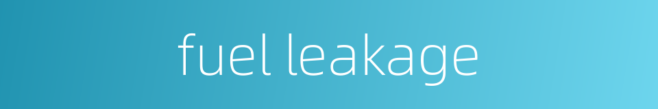 fuel leakage的同义词