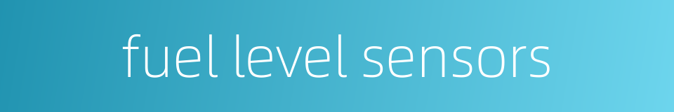 fuel level sensors的同义词