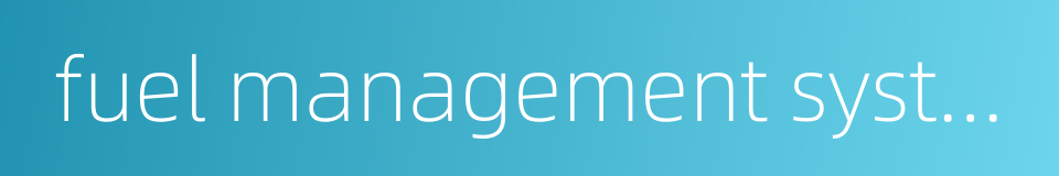 fuel management system的同义词