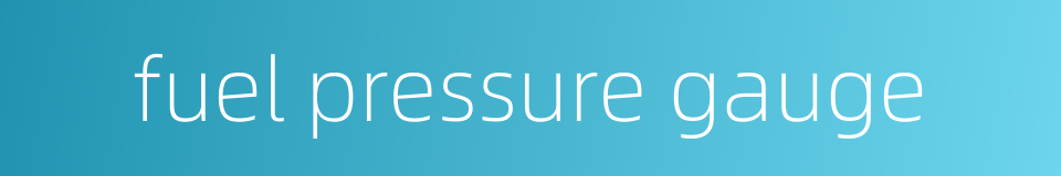 fuel pressure gauge的同义词