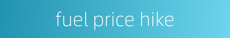 fuel price hike的同义词